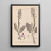 Herbier de la flore française Pl1017 - Louis Antoine Cusin — framed artwork on a wall