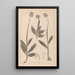 French flora herbarium painting Pl1028 - Louis Antoine Cusin — framed artwork on a wall