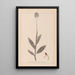 Herbier de la flore française Pl1030 - Louis Antoine Cusin — framed artwork on a wall