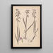 Herbier de la flore française Pl1034 - Louis Antoine Cusin — cuadro enmarcado en la pared