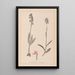 Herbier de la flore française Pl1038 - Louis Antoine Cusin — framed artwork on a wall