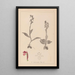 French flora herbarium painting Pl1040 - Louis Antoine Cusin — framed artwork on a wall