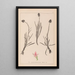 Herbier de la flore française Pl1047 - Louis Antoine Cusin — framed artwork on a wall