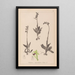 Herbier de la flore française Pl1048 - Louis Antoine Cusin — framed artwork on a wall
