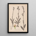 Herbier de la flore française Pl1050 - Louis Antoine Cusin — cuadro enmarcado en la pared