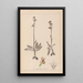 Herbier de la flore française Pl1053 - Louis Antoine Cusin — framed artwork on a wall