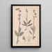 Herbier de la flore française Pl1054 - Louis Antoine Cusin — framed artwork on a wall