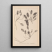 Herbier de la flore française Pl1071 - Louis Antoine Cusin — cuadro enmarcado en la pared