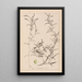 Herbier de la flore française Pl1073 - Louis Antoine Cusin — framed artwork on a wall