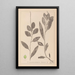 Herbier de la flore française Pl1075 - Louis Antoine Cusin — cuadro enmarcado en la pared