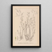 Herbier de la flore française Pl1092 - Louis Antoine Cusin — cuadro enmarcado en la pared