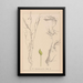 Herbier de la flore française Pl1096 - Louis Antoine Cusin — framed artwork on a wall