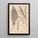 Herbier de la flore française Pl1105 - Louis Antoine Cusin — cuadro enmarcado en la pared