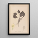 Herbier de la flore française Pl1110 - Louis Antoine Cusin — cuadro enmarcado en la pared