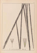Herbier de la flore française Pl1113 - Louis Antoine Cusin — vista de la obra