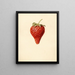 Fragaria Bellmar - Louis Charles Christopher Krieger — cuadro enmarcado en la pared