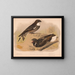 Night Owl Painting, Chuck-will's-widow - Louis Prang Co — framed artwork on a wall