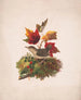 Un pájaro con follaje de otoño - Louis Prang Co — vista de la obra
