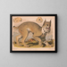 Lynx del Canadá - Louis Prang Co — cuadro enmarcado en la pared