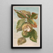 Castaño Castanea vulgaris var. Americana - Louis Prang Co — cuadro enmarcado en la pared