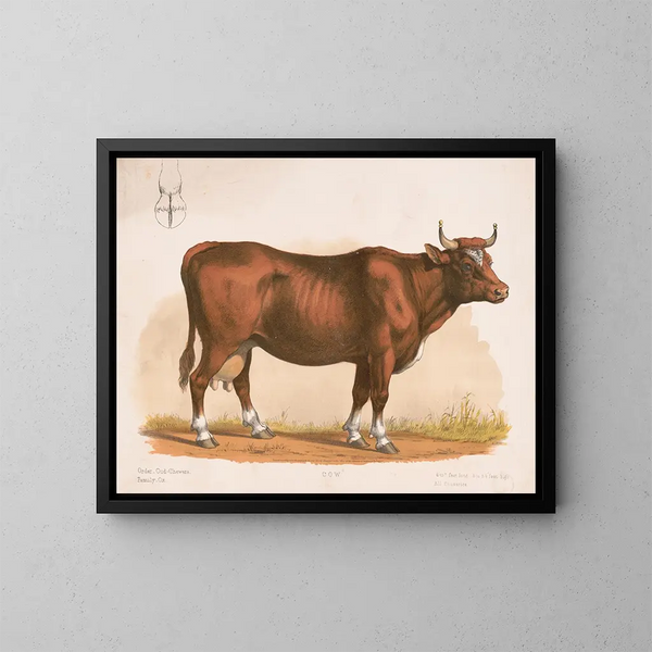 Vache - Louis Prang Co — cuadro enmarcado en la pared