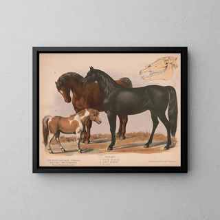 Louis Prang  Co - Horses 1 Race horse 2 Cart horse 3 Pony.webp