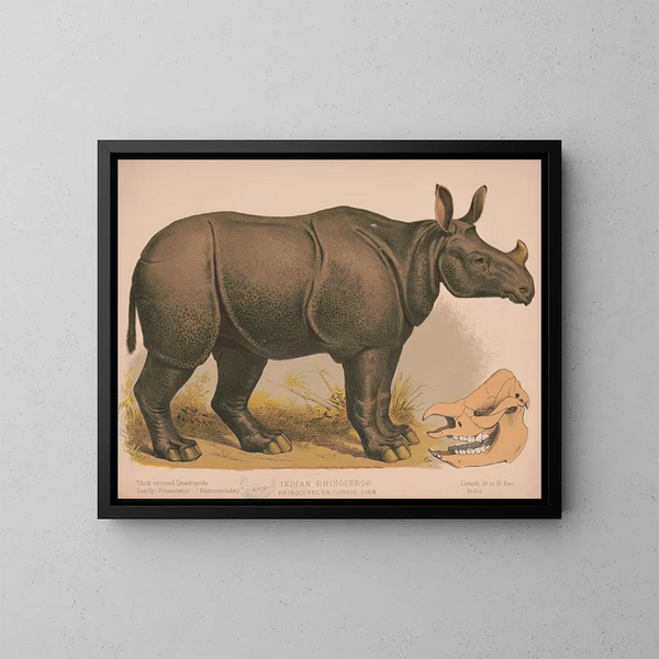 Rinoceronte indio - Louis Prang Co — cuadro enmarcado en la pared