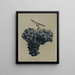 Uvas Alicante negras premiadas - Louis Prang Co — cuadro enmarcado en la pared