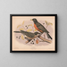 Migratory thrush 1 Adult 2 Juveniles - Louis Prang Co — framed artwork on a wall