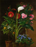 Orange Streptocarpus Oleander A Calla Lily And Cactus Flowers - Louise Garlieb — artwork view