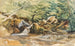 estudio de torrentes y arbustos - Ludwig Correggio — vista de la obra