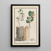 Estudios del tronco, de las flores y de las frutas de un manzano silvestre Malus sylvestris - Ludwig Pfleger — cuadro enmarcado en la pared