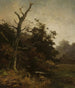 Árbol seco al borde de un río - Ludwig Willroider — vista de la obra