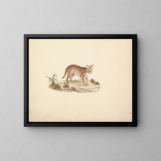 Luigi Balugani - African Wildcat or Serval.webp