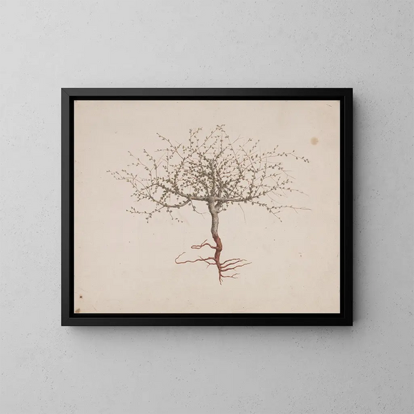 Baume de Galaad - Luigi Balugani — framed artwork on a wall