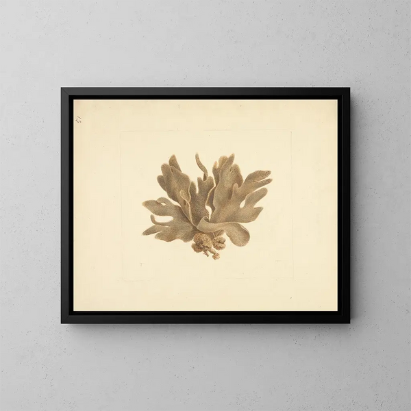 Untitled Painting - Luigi Balugani — framed artwork on a wall