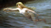 Una nereida marina - Luis Ricardo Falero — vista de la obra