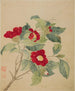 Camellias - Ma Yuanyu — artwork view