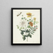 Still life with flowers - Machtelt Moninckx — framed artwork on a wall