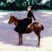 Mademoiselle Meuriot sur son poney - Jacquesmile Blanche — vista de la obra