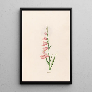 Magdelena Rosina Funck - Schwendel.webp