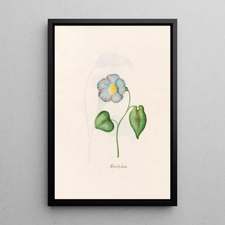 Magdelena Rosina Funck - Spanish klock.webp