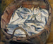Harengs de la Baltique - Magnus Enckell — vista de la obra