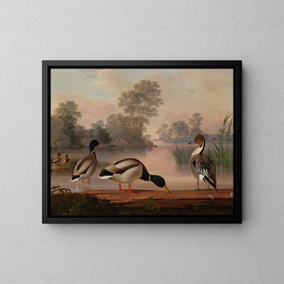 Magnus Von Wright - Ducks.webp