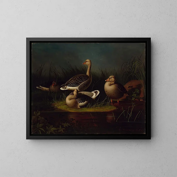 Oies cendrées - Magnus von Wright — cuadro enmarcado en la pared