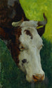 Estudio de una vaca - Marc-Aurèle de Foy Suzor-Coté — vista de la obra