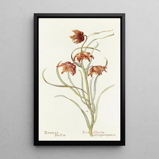 Margaret Armstrong - Bronze Bells.webp