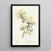 Rose des falaises - Margaret Armstrong — framed artwork on a wall
