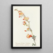 Sphaeralcea saumon - Margaret Armstrong — framed artwork on a wall