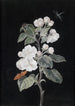 Apple Blossom - Margaretha Barbara Dietzsch — artwork view